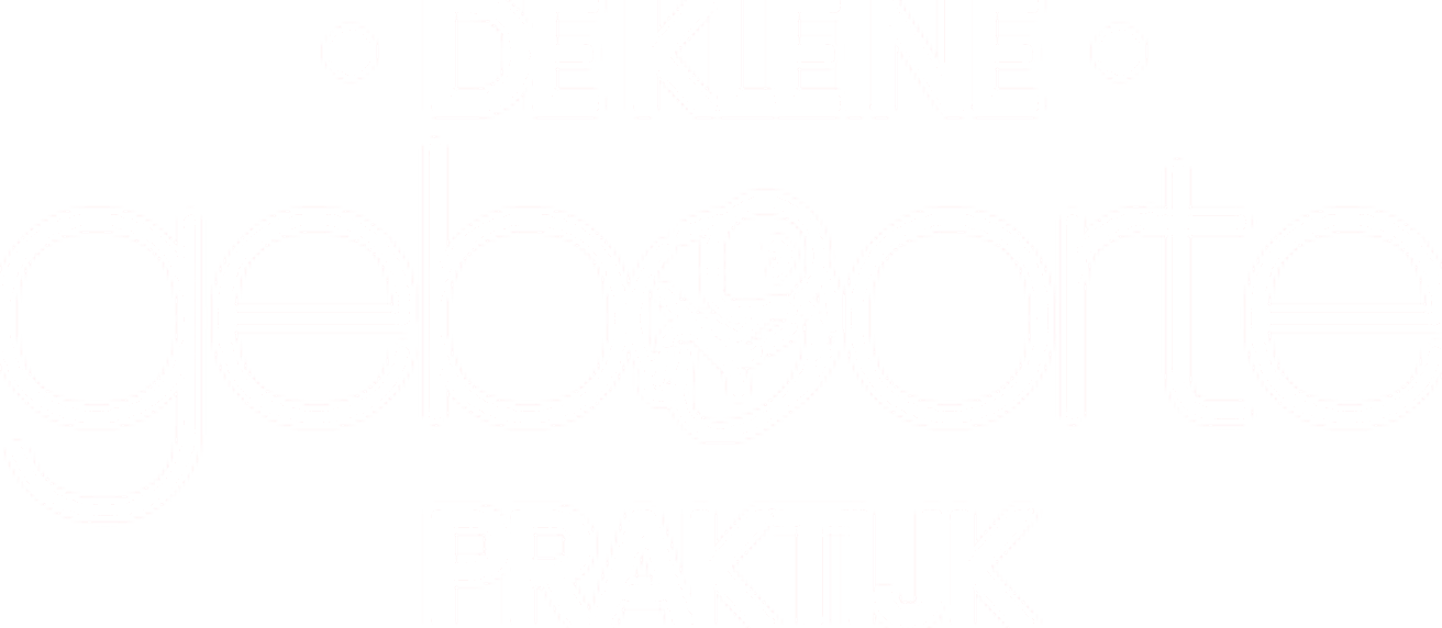 De kleine Geboortepraktijk