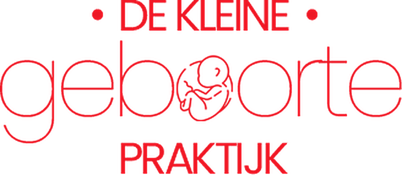 De kleine Geboortepraktijk